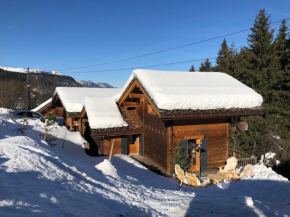 Chalet de l'Ours : 4 étoiles-spa-proche des pistes